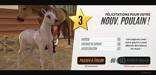 Breeding his first foal