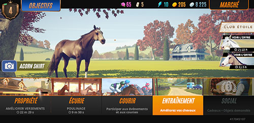 Rival Stars Horse Racing guide