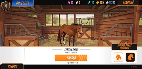 Breed horses