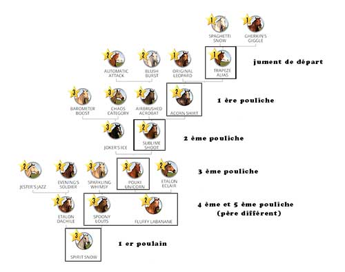 Complete pedigree without consanguinity