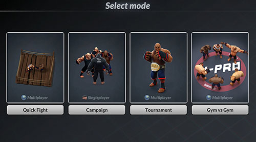 Types of fight